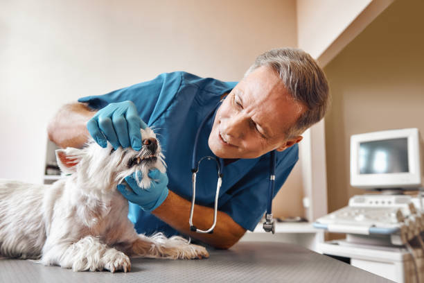 Best Weekend Emergency Dentist in Algood, TN